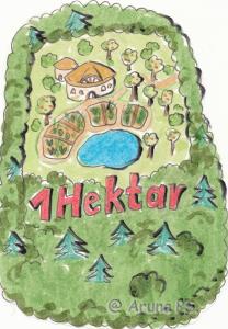 Bild 1 Hektar
